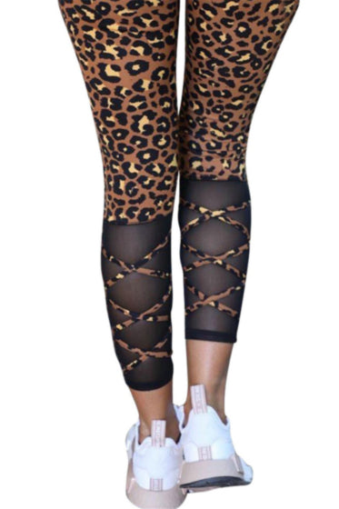 Leopard print stretch mesh leggings
